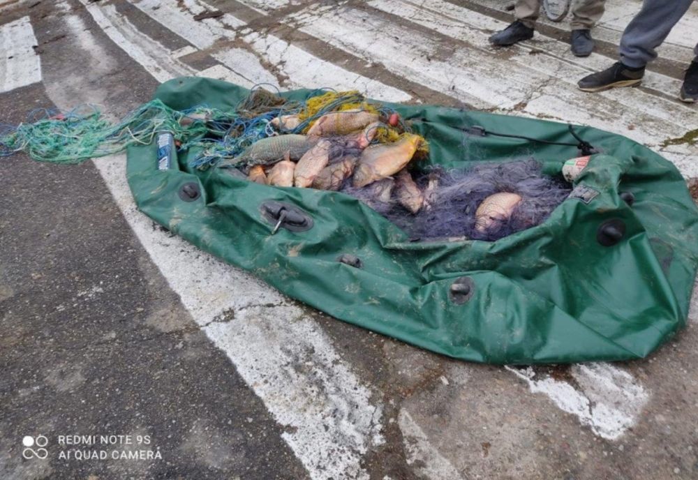 Braconaj piscicol în perioada de prohibiție