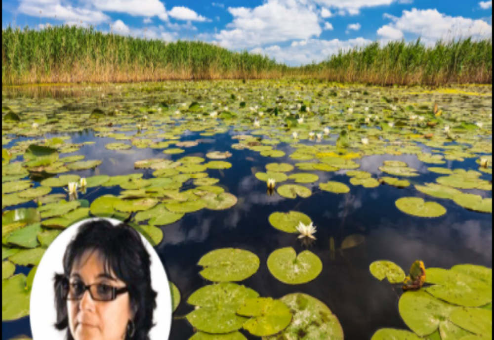 Atena Adriana Groza e propusă de USR PLUS ca guvernator al Deltei Dunării