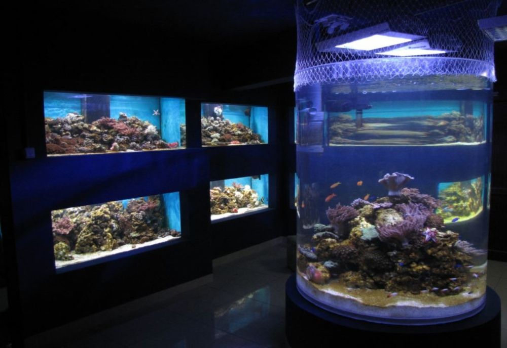 Muzeele și obiectivele muzeale rămân deschise pe 20 și 21 iunie 