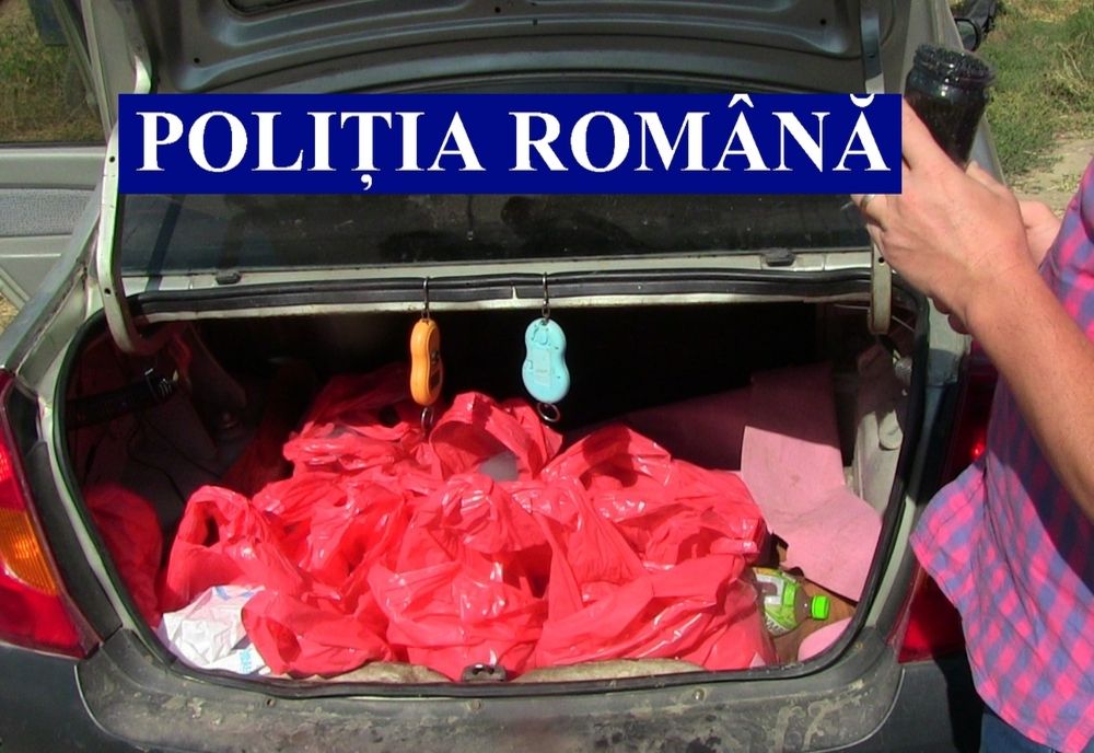 Acțiuni în Delta Dunării pentru protejarea fondului piscicol