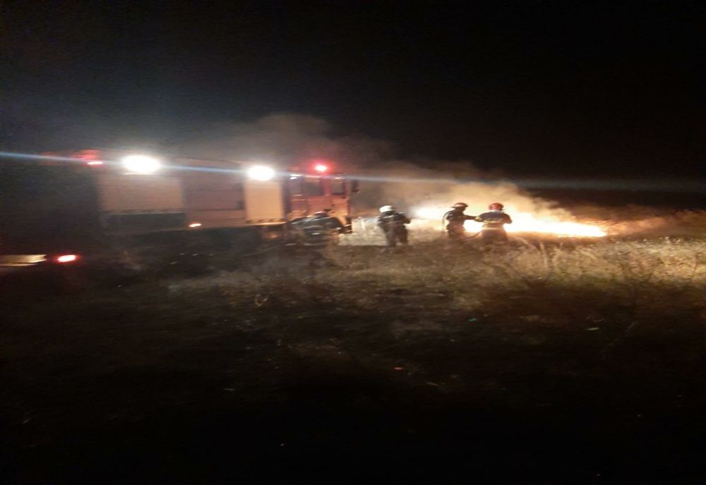 Incendiu de vegetație uscată la Sarichioi