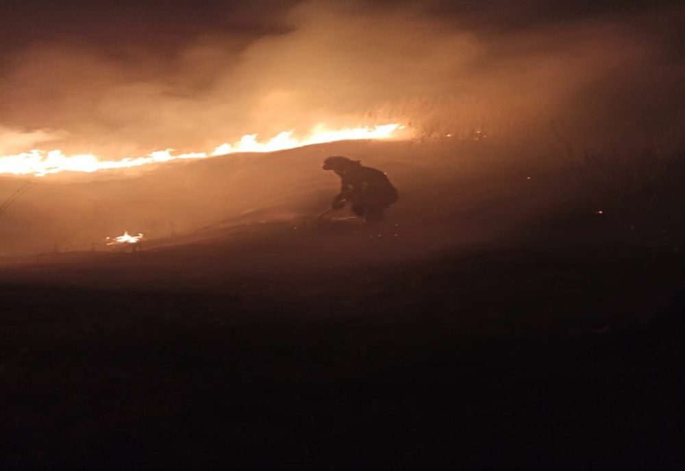 FOTO 15 hectare de vegetație uscată făcute scrum . De la ce au pornit flăcările