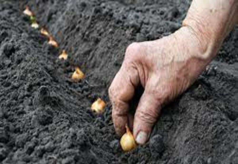 Miercurea din Săptămâna Luminată. Ce le este interzis femeilor să facă astăzi