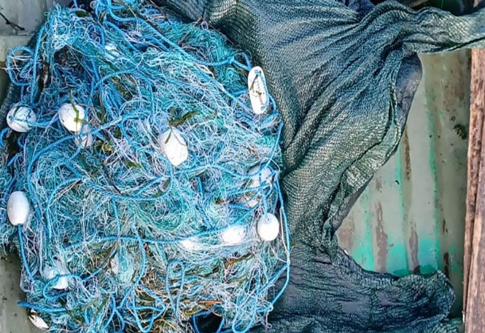 FOTO Braconaj piscicol în zona Rezervației Biosferei Delta Dunării