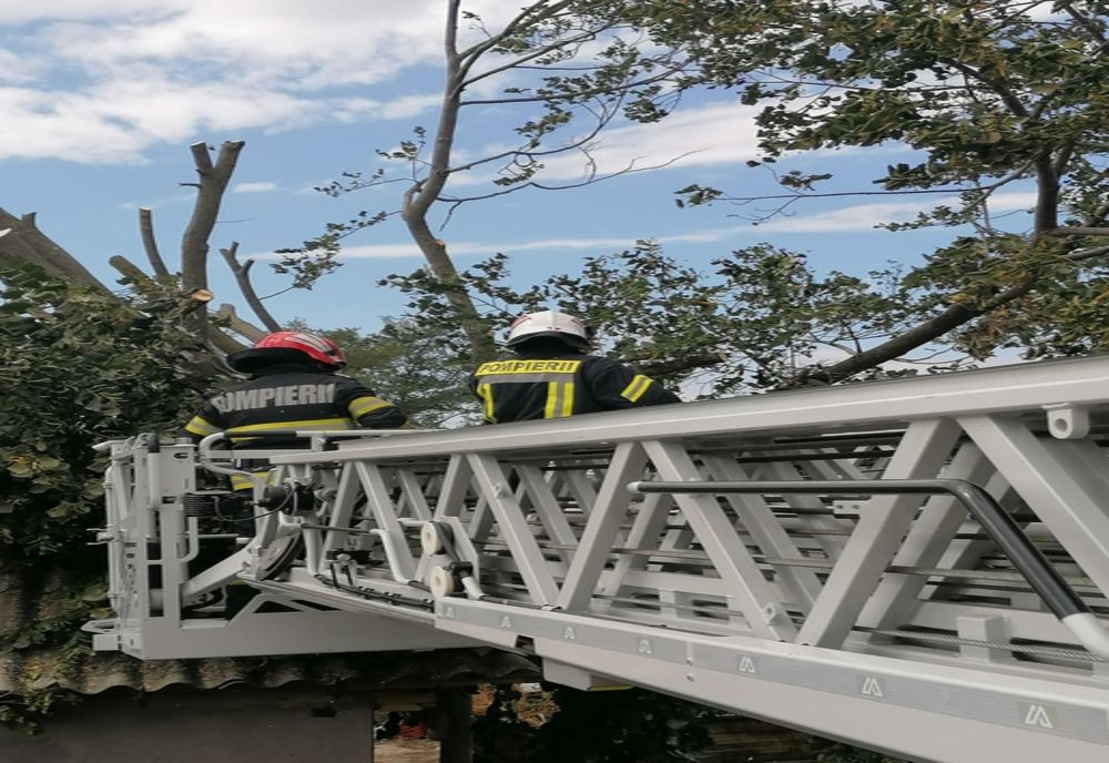 Efectele codului galben în Tulcea