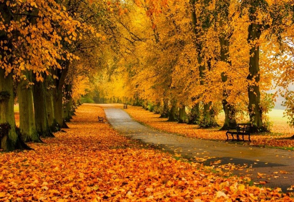  Temperaturi nefiresc de mari pentru final de Octombrie