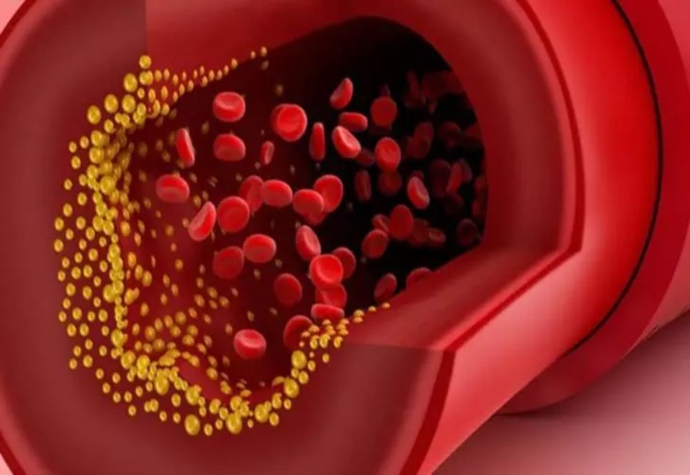 Sângele de aur, cea mai rară grupă sanguină. Câte persoane o au și ce particularități prezintă