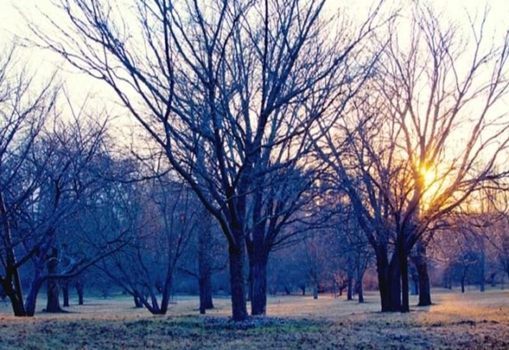 Vremea în prima zi din 2023