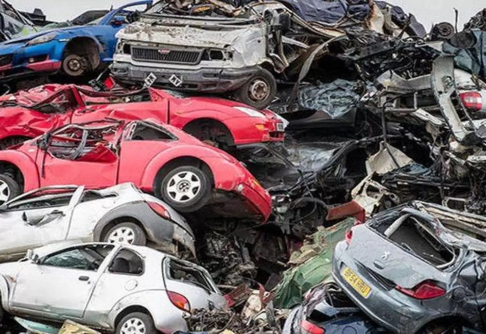 Programele Rabla Clasic și Rabla Plus, încep pe 24 martie  