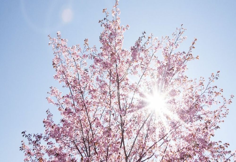 Vremea 20 martie - Temperaturile cresc în toată țara