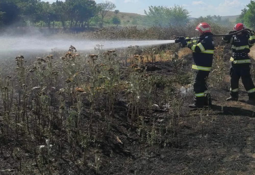 15 hectare de vegetație uscată făcute scrum, în Tulcea