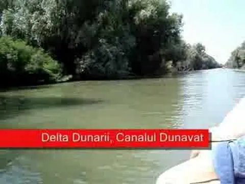 hqdefault