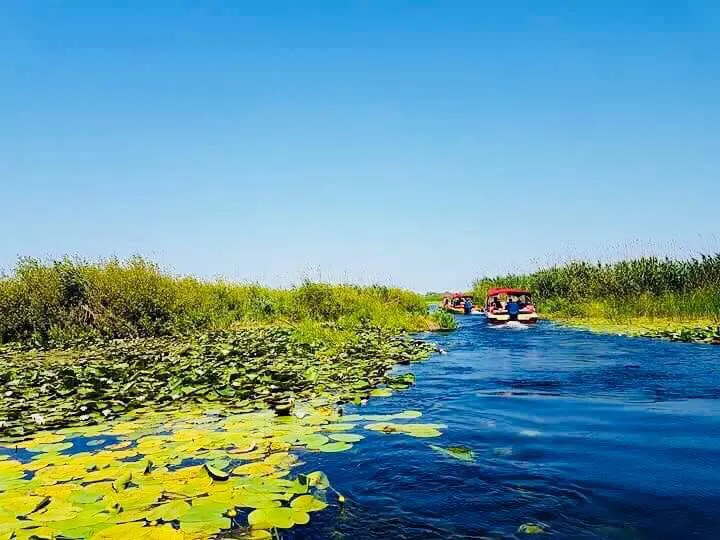 poza delta 3