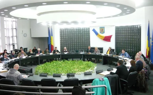 consiliu local tulcea