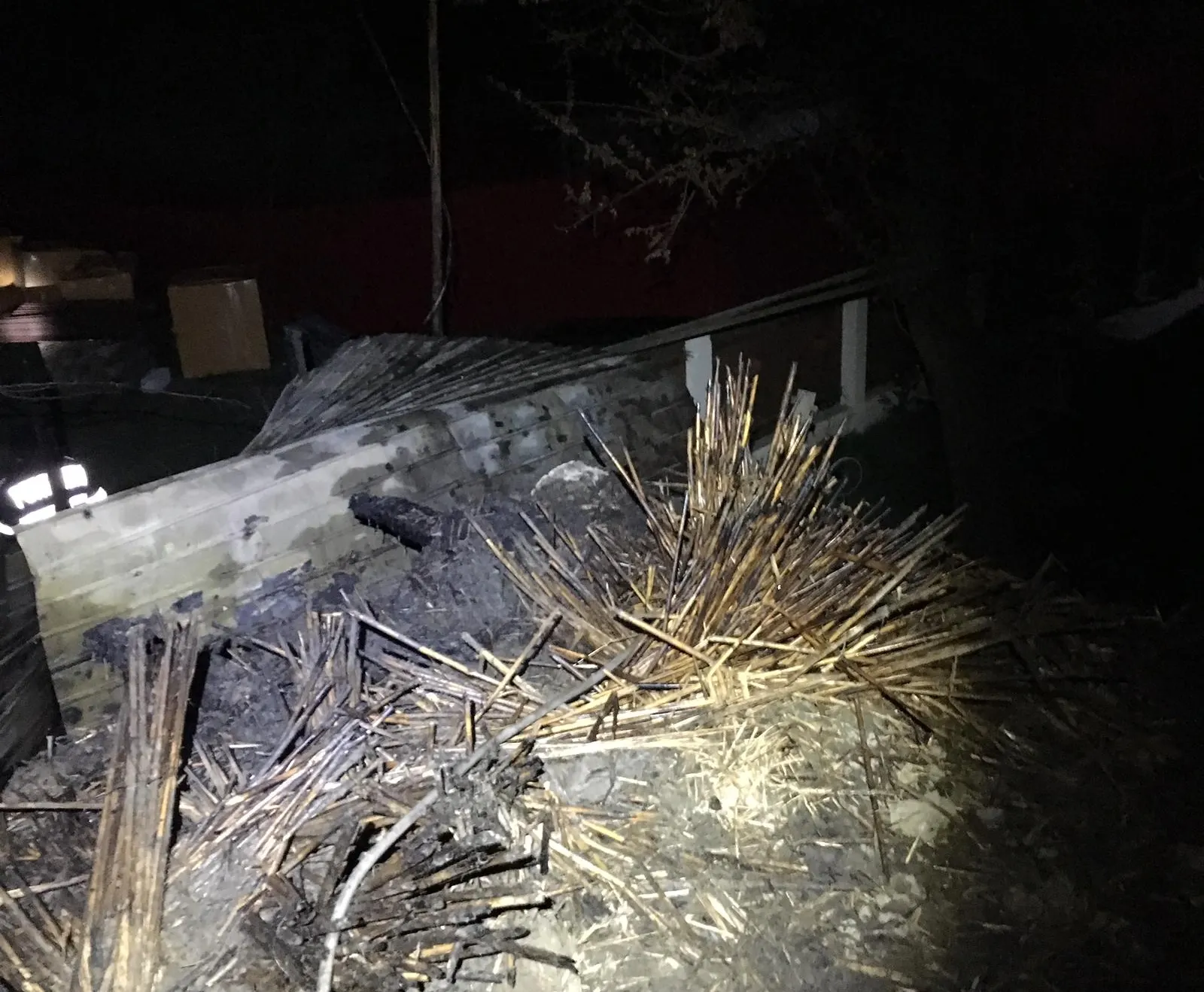 IMG-20190412-WA0000