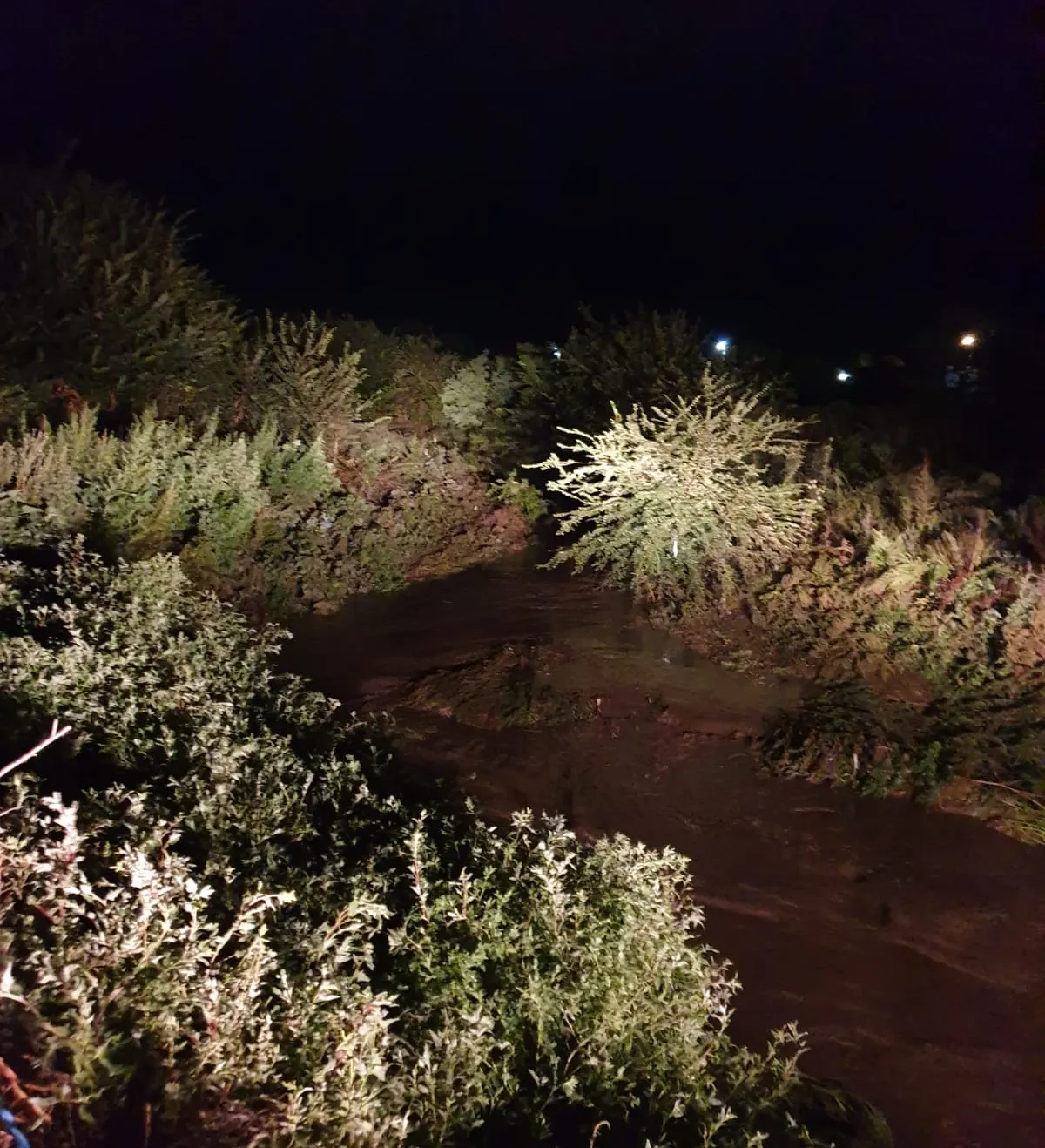 IMG-20190803-WA0070