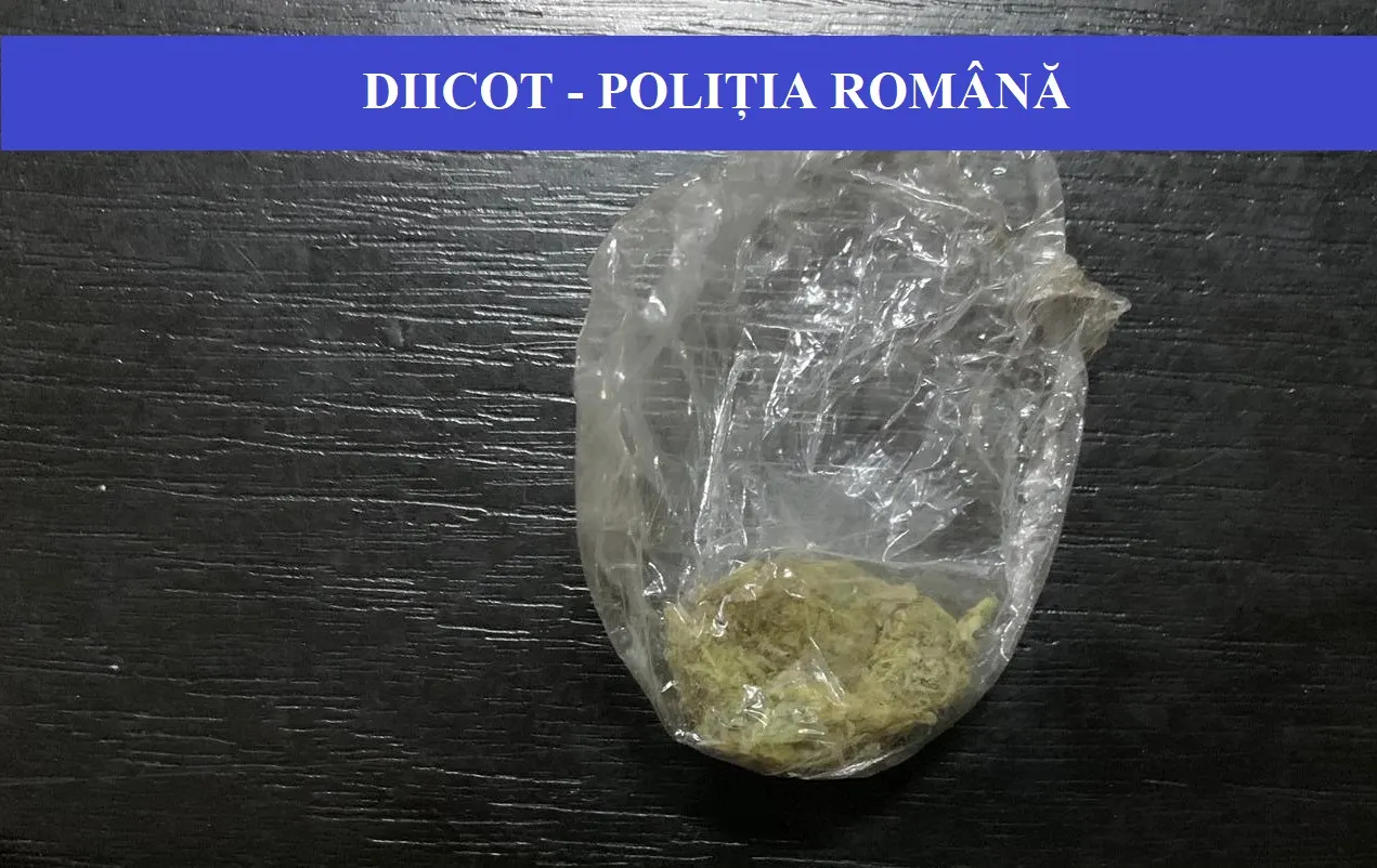 Scco Tl droguri