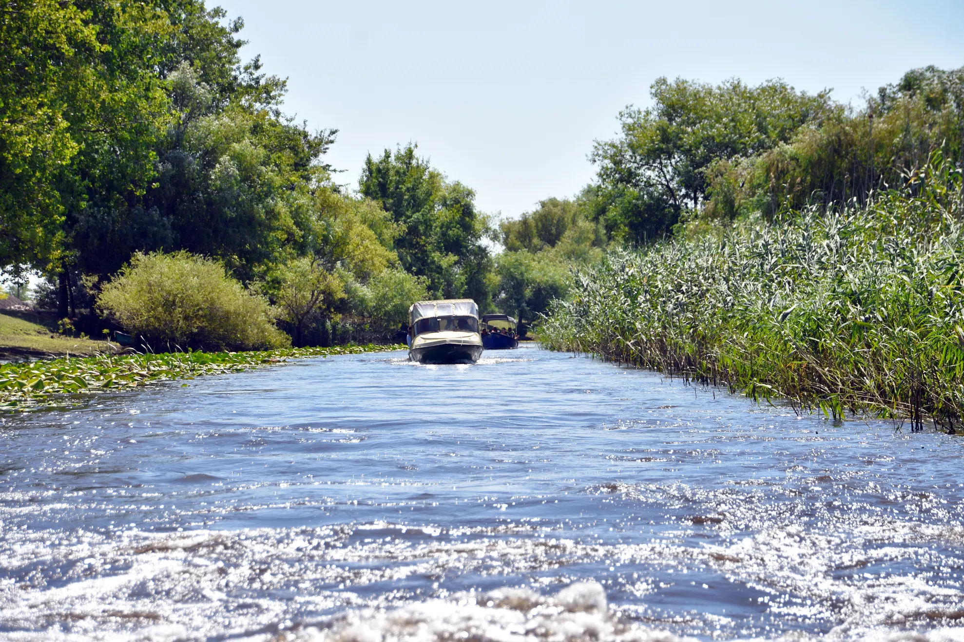 canal letea