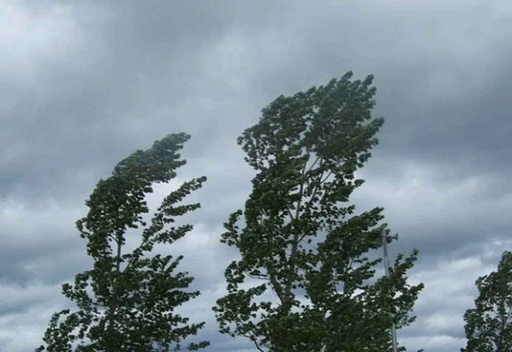 Alertă meteo. Cod galben de vânt în județul Tulcea