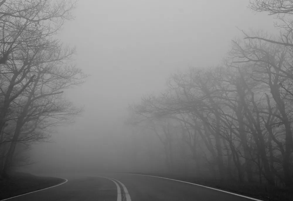 Alertă ANM COD GALBEN de ceață în județele Constanța și Tulcea