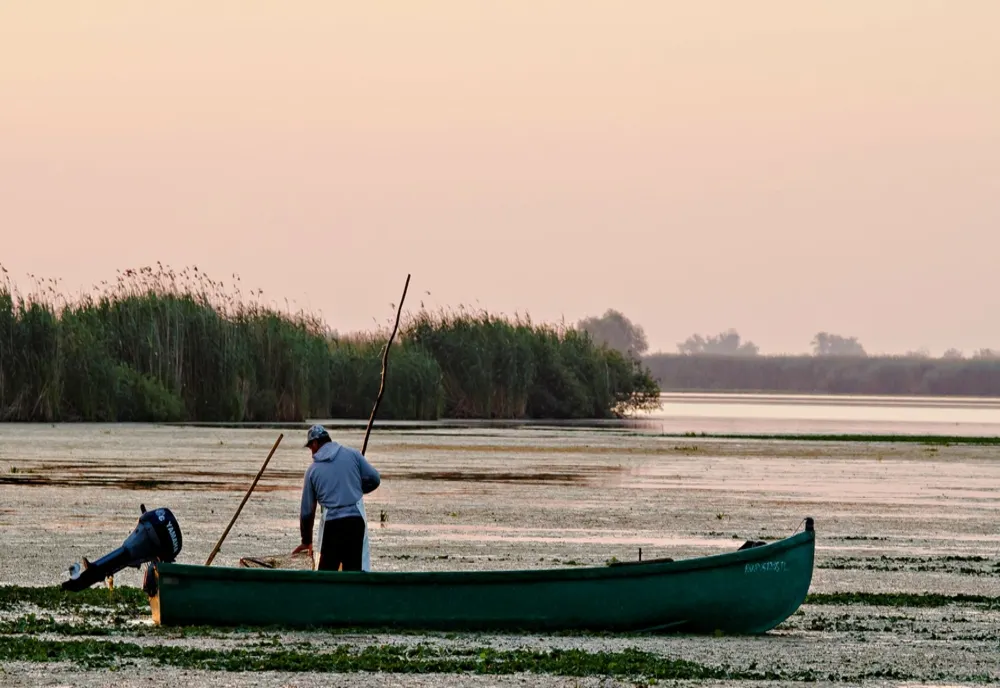 30 de pescari din Sfîntu Gheorghe vor să acțoneze statul în judecată pentru interzicerea capturării sturionilor