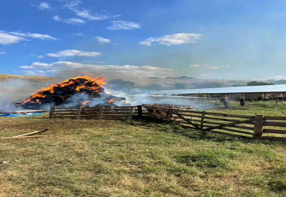 Incendiu violent la Babadag.