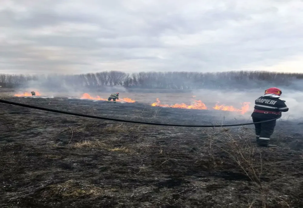 FOTO Incendiu violent de vegetație în Măcin. Intervin pompierii
