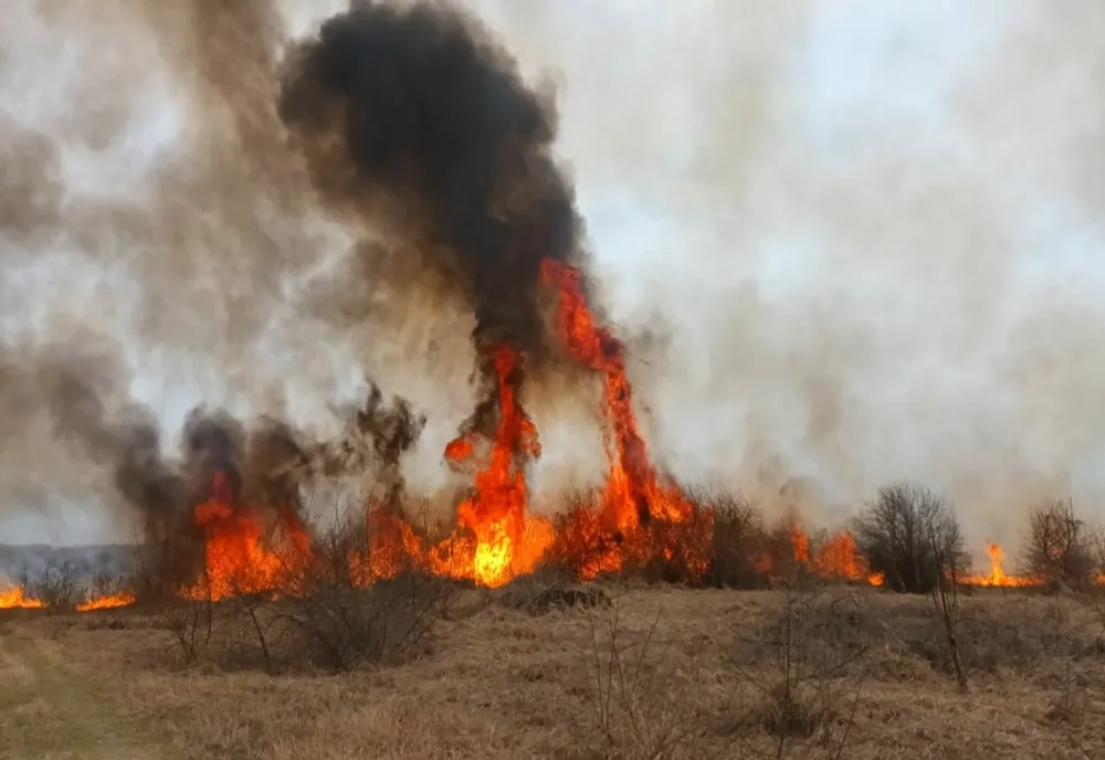 FOTO VIDEO Incendiu violent de vegetație uscată