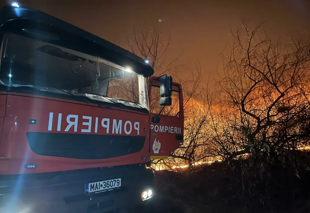 Incendiu de vegetație uscată în zona lacului Cîșlița