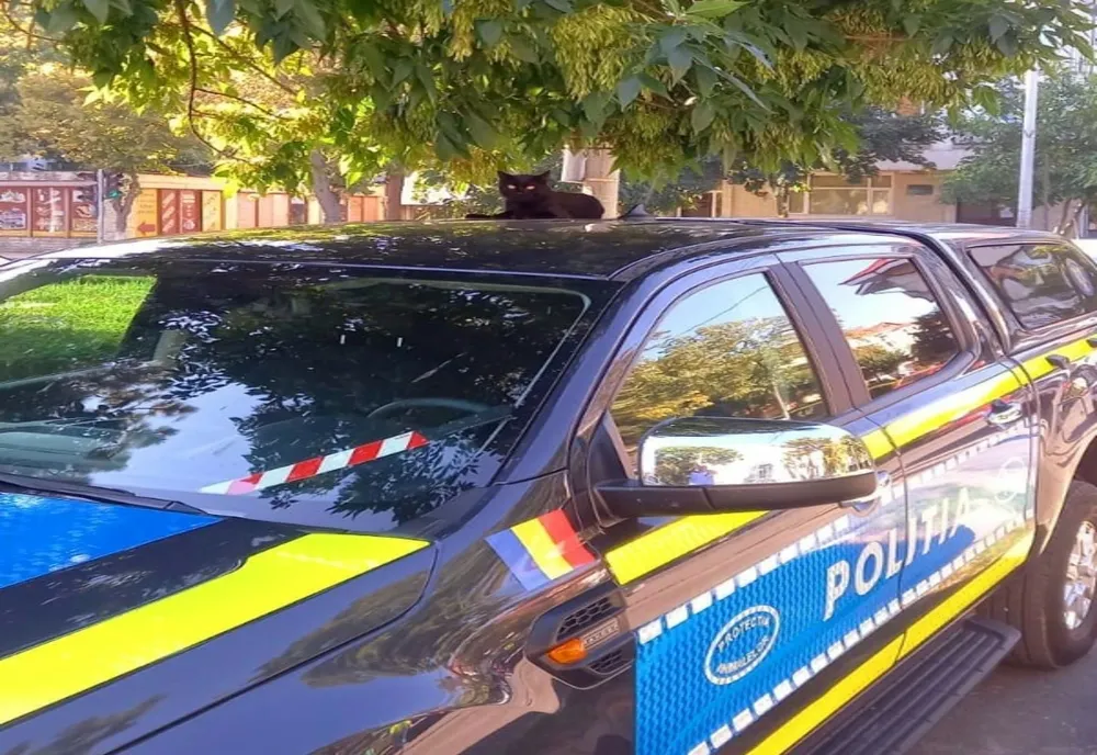 Zi cu ghinion pentru un tulcean. De ce s-a ales cu dosar penal