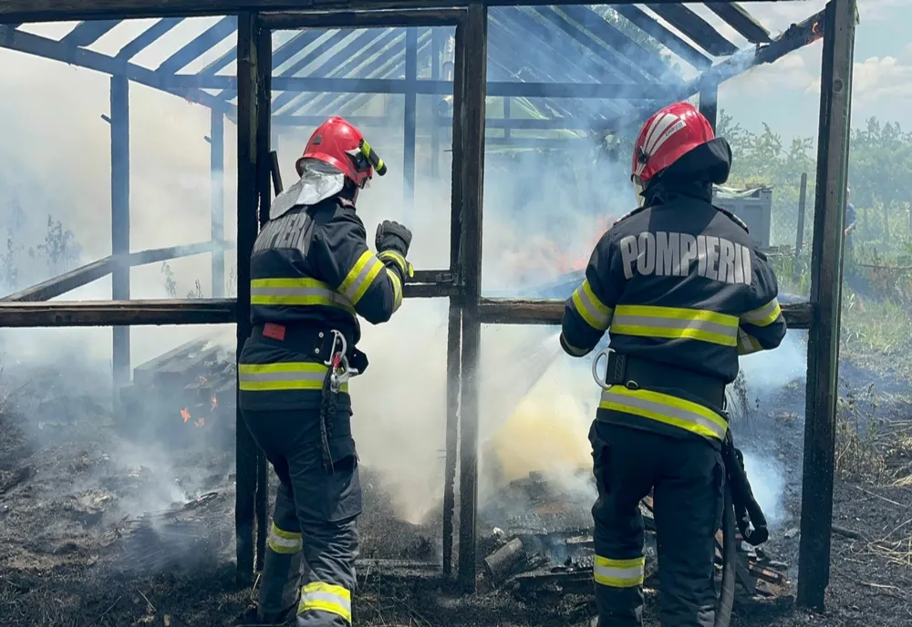 FOTO VIDEO Incendiu puternic în satul Poșta. Case salvate de pompieri