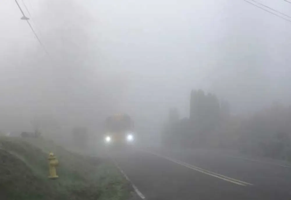 COD GALBEN de CEAȚĂ în județele Constanța și Tulcea