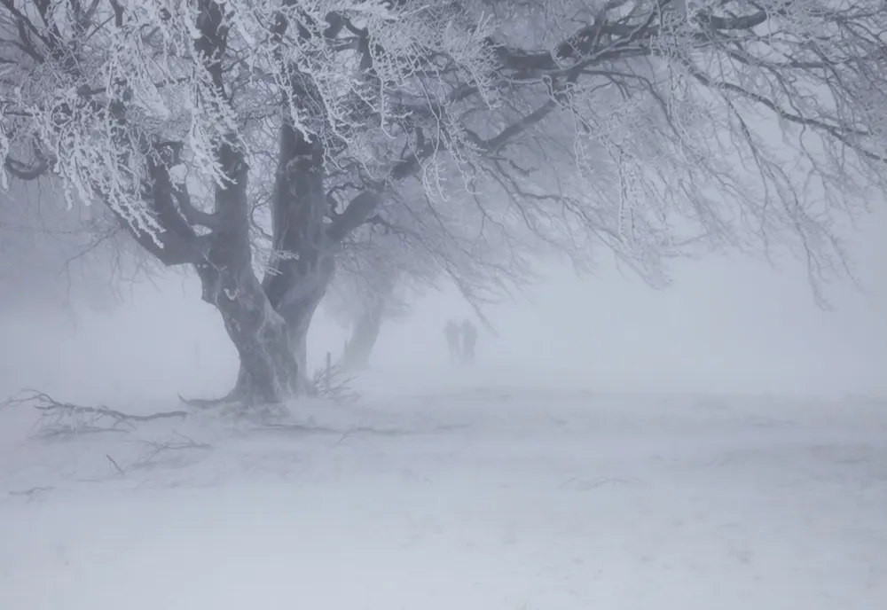 Temperaturi extreme în România. Zonele lovite de ger și viscol - avertisment ANM