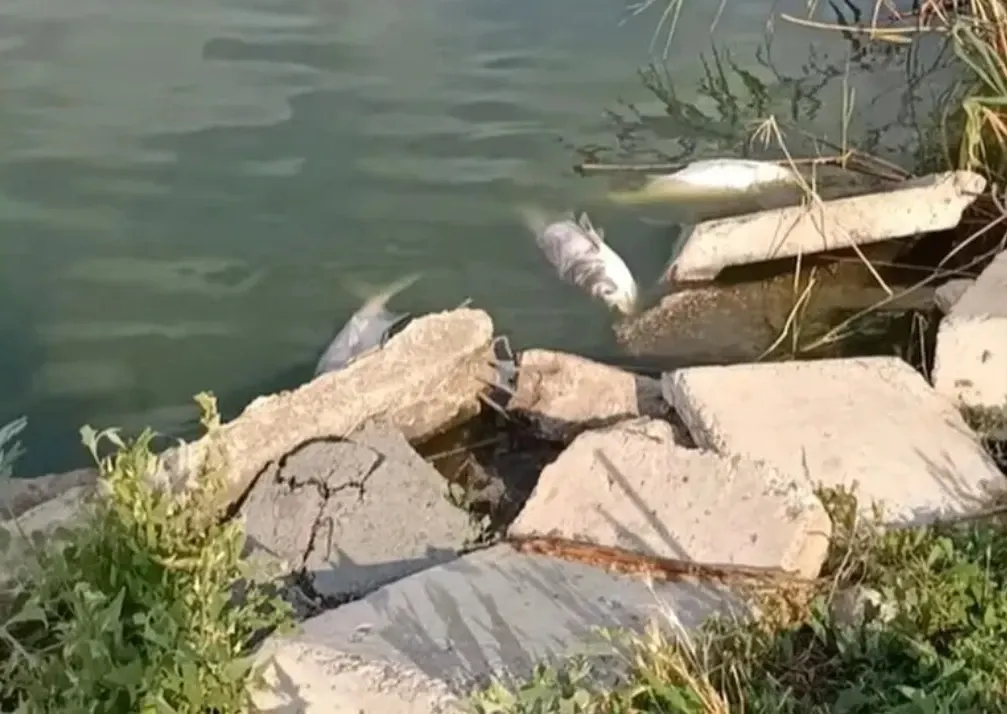 FOTO: Captură video
