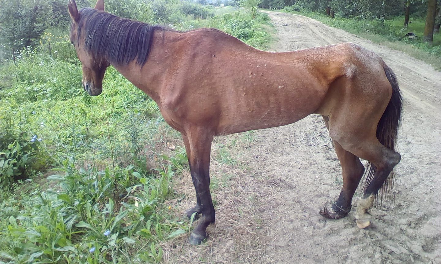 37386413_816654645390139_6511698877807067136_n