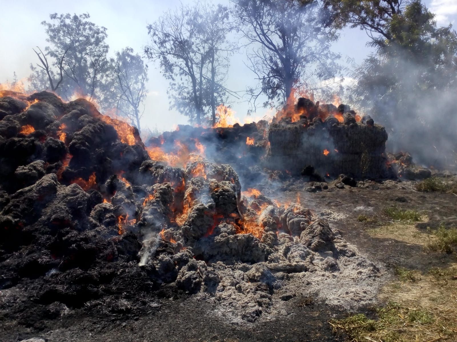 WhatsApp Image 2018-08-02 at 14.20.14