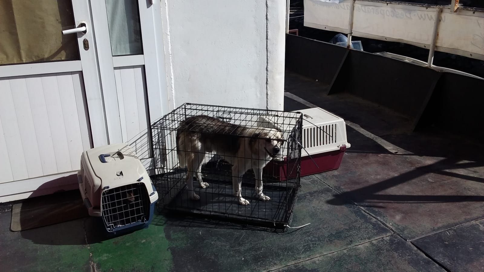 WhatsApp Image 2018-10-09 at 10.53.35(1)