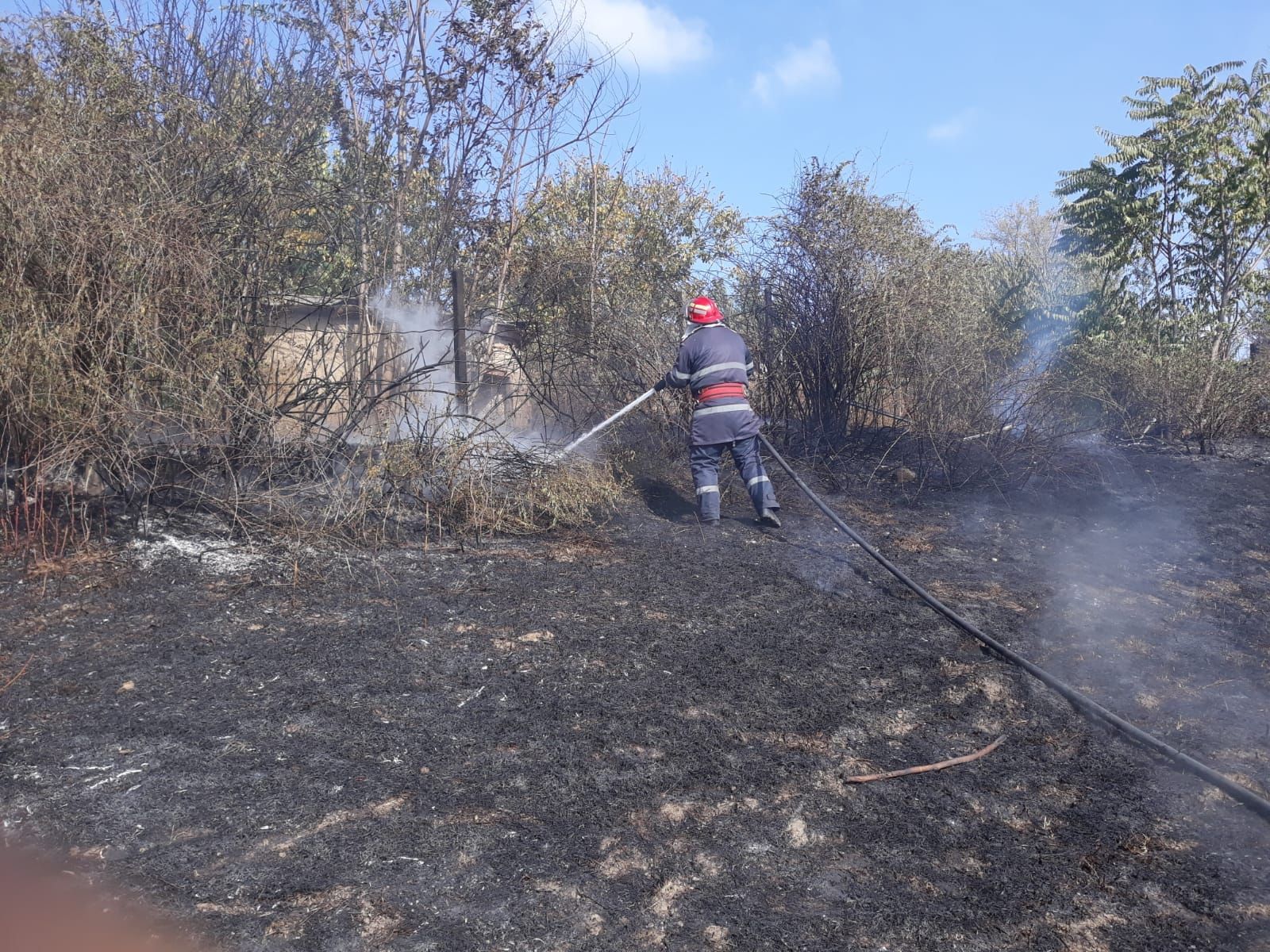 WhatsApp Image 2018-10-18 at 13.00.56