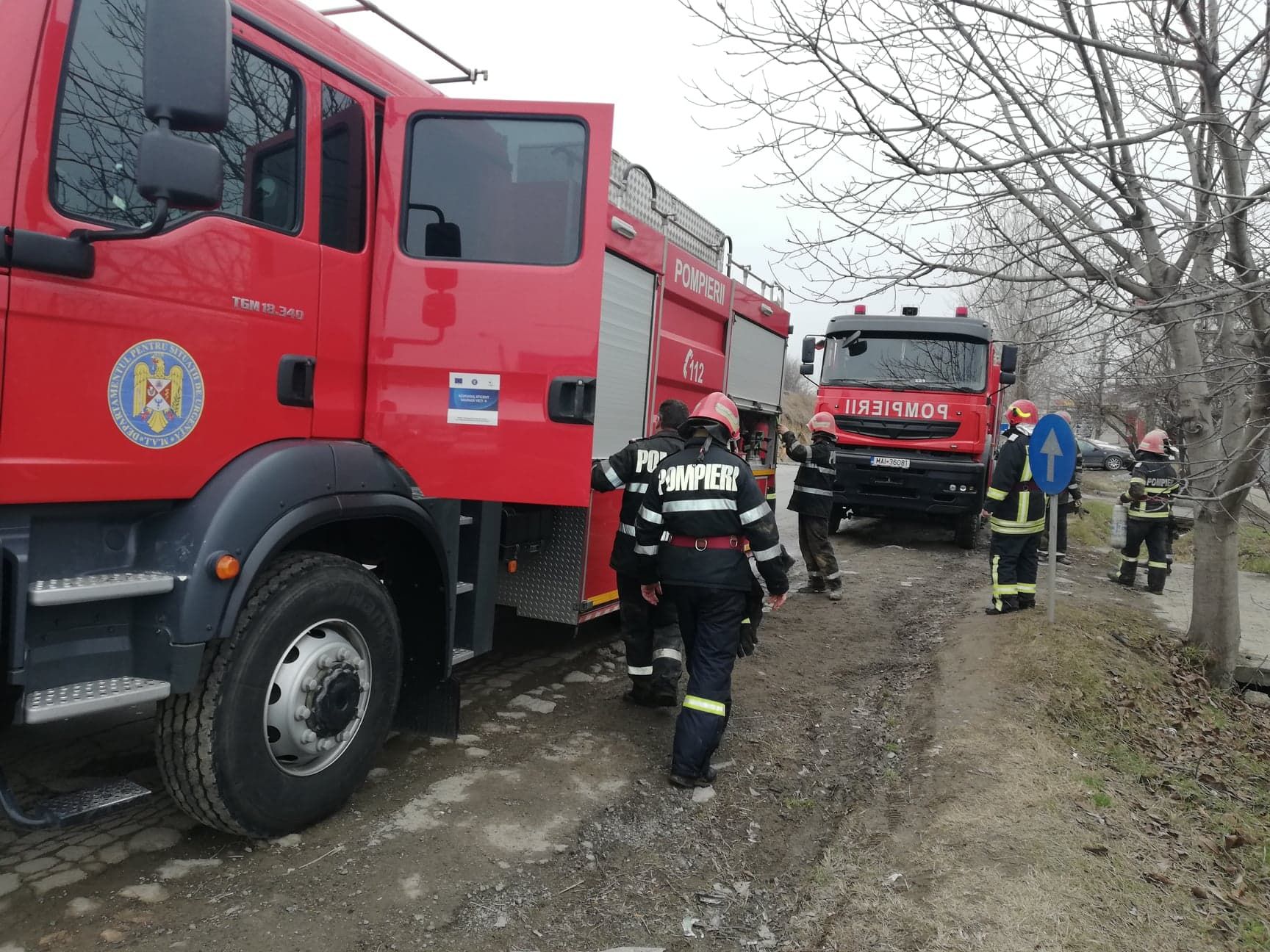 52420996_413190859450777_681474064195256320_n