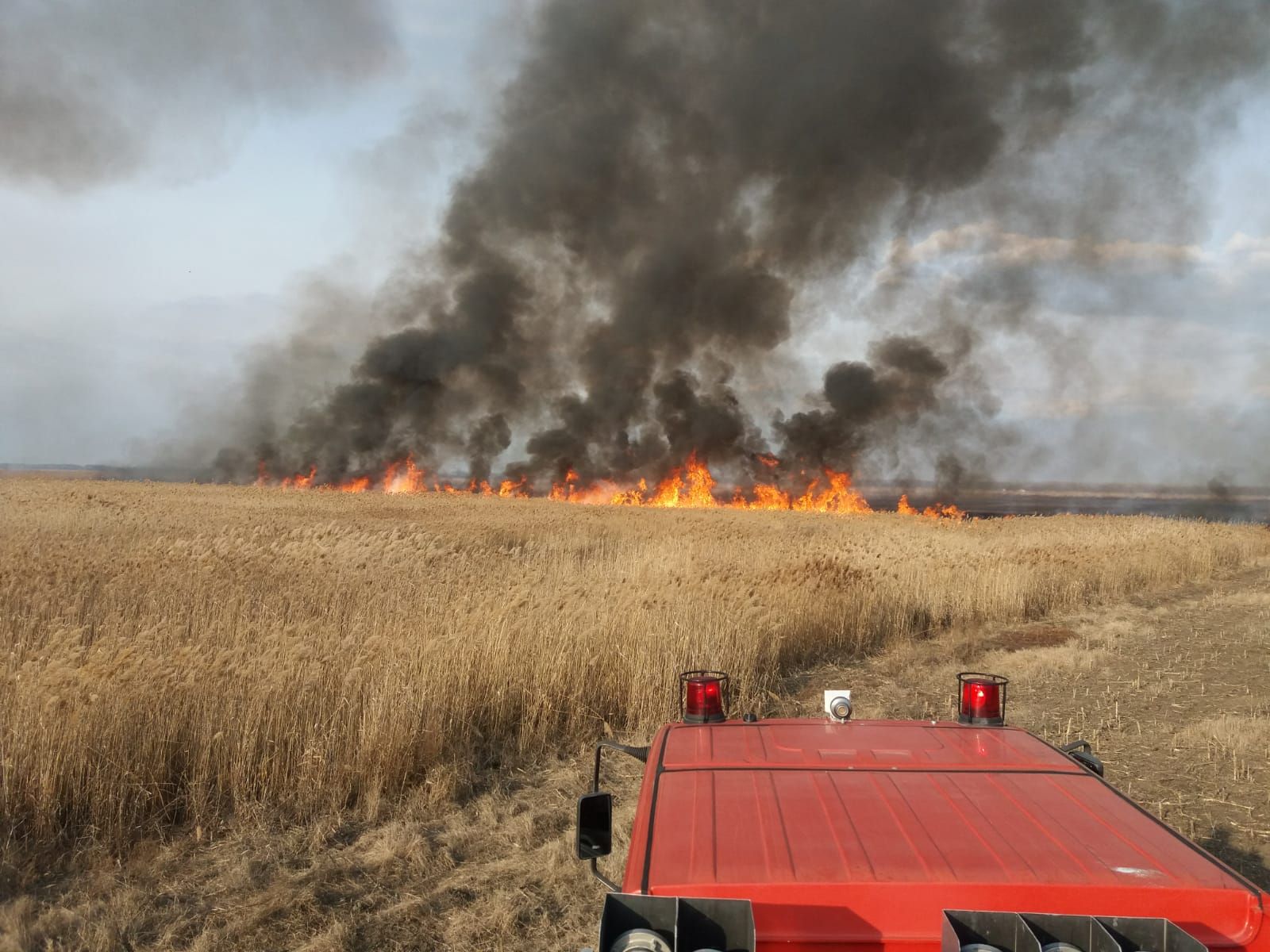 WhatsApp Image 2019-02-21 at 15.42.22