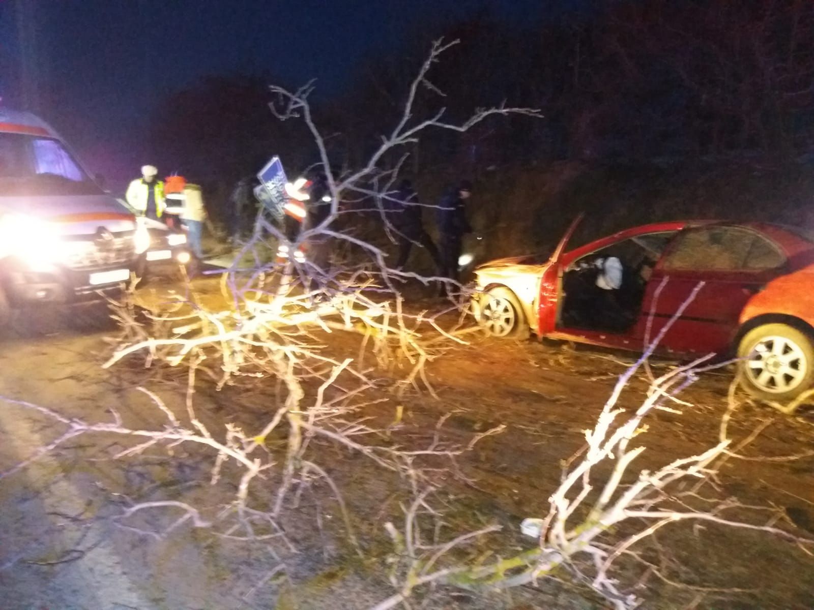 WhatsApp Image 2019-02-25 at 12.06.07