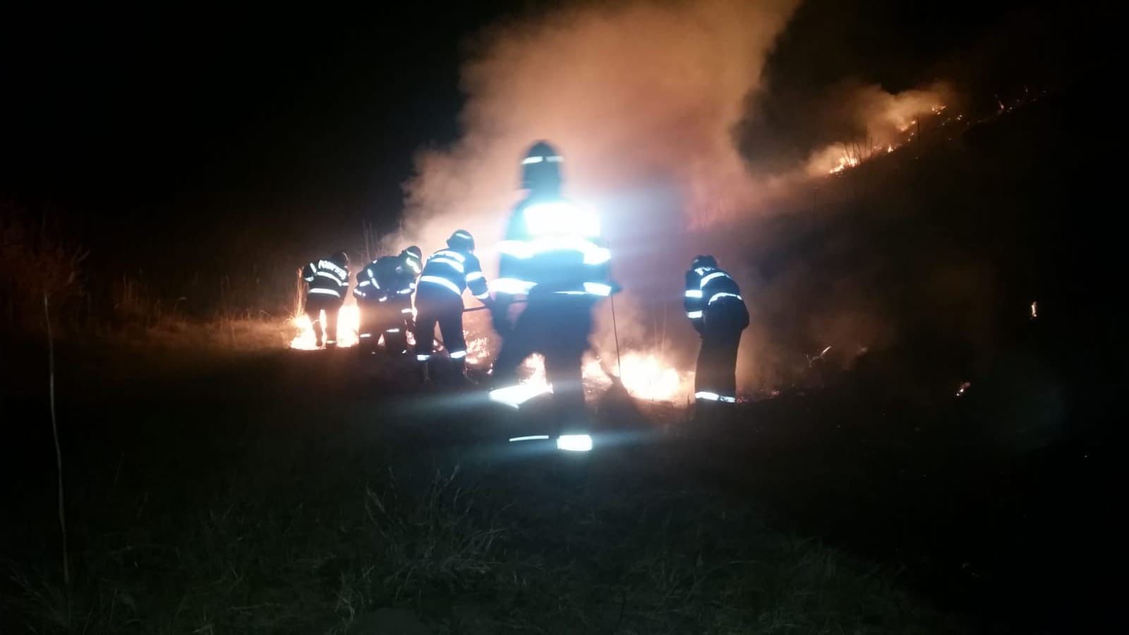 WhatsApp Image 2019-03-12 at 07.25.05