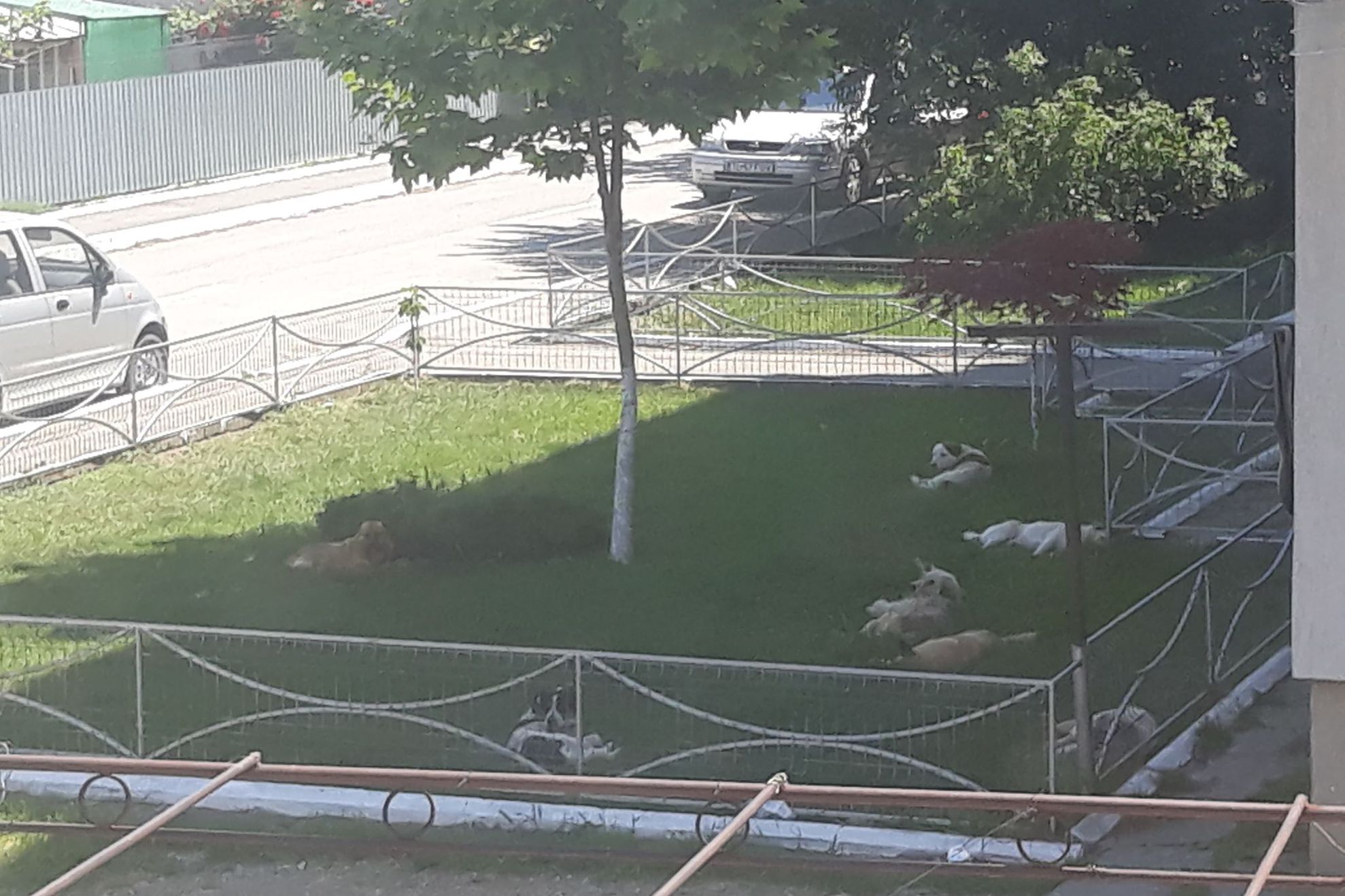 60793002_618043058709796_1404343852118048768_n