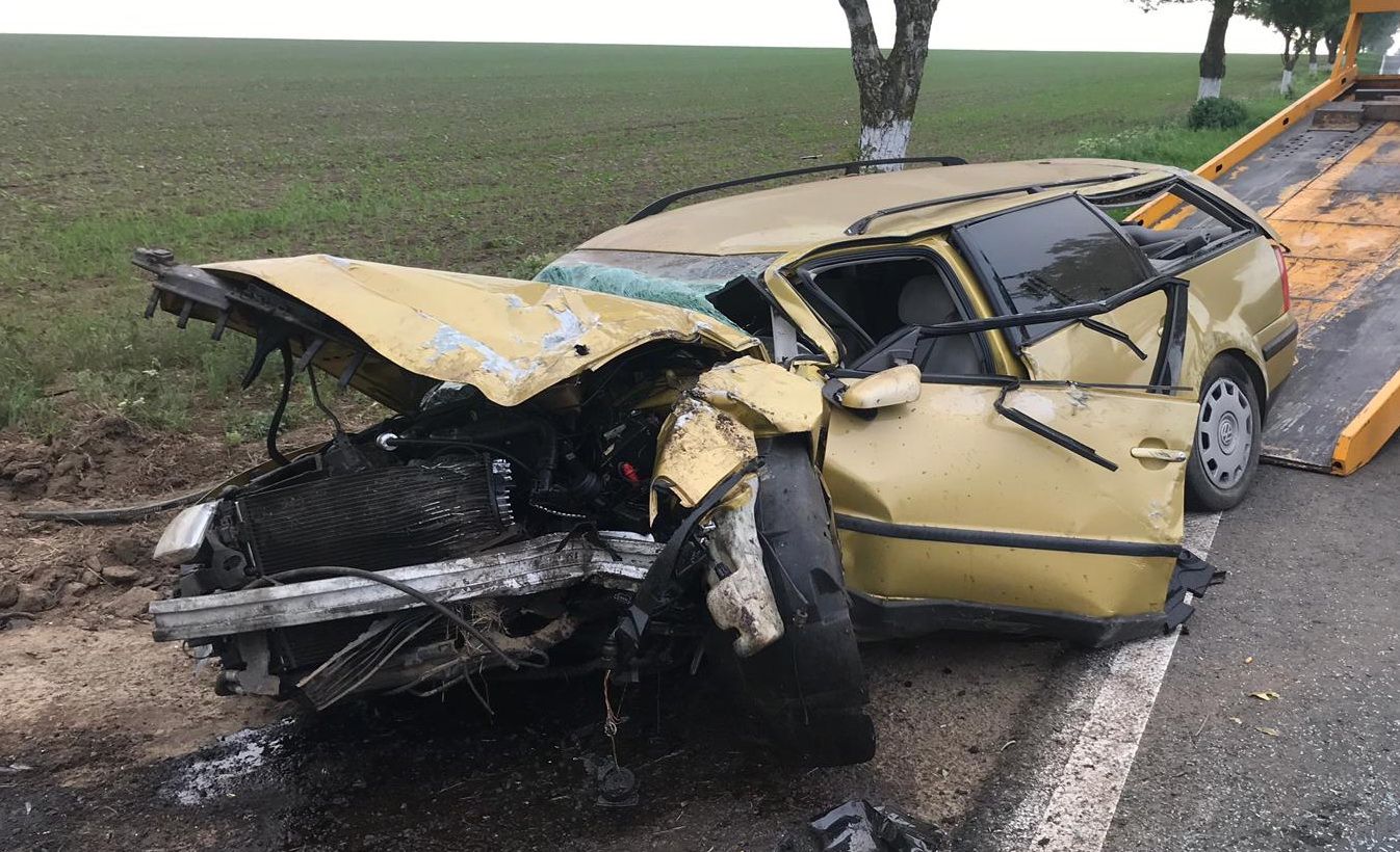 WhatsApp Image 2019-05-20 at 09.13.49