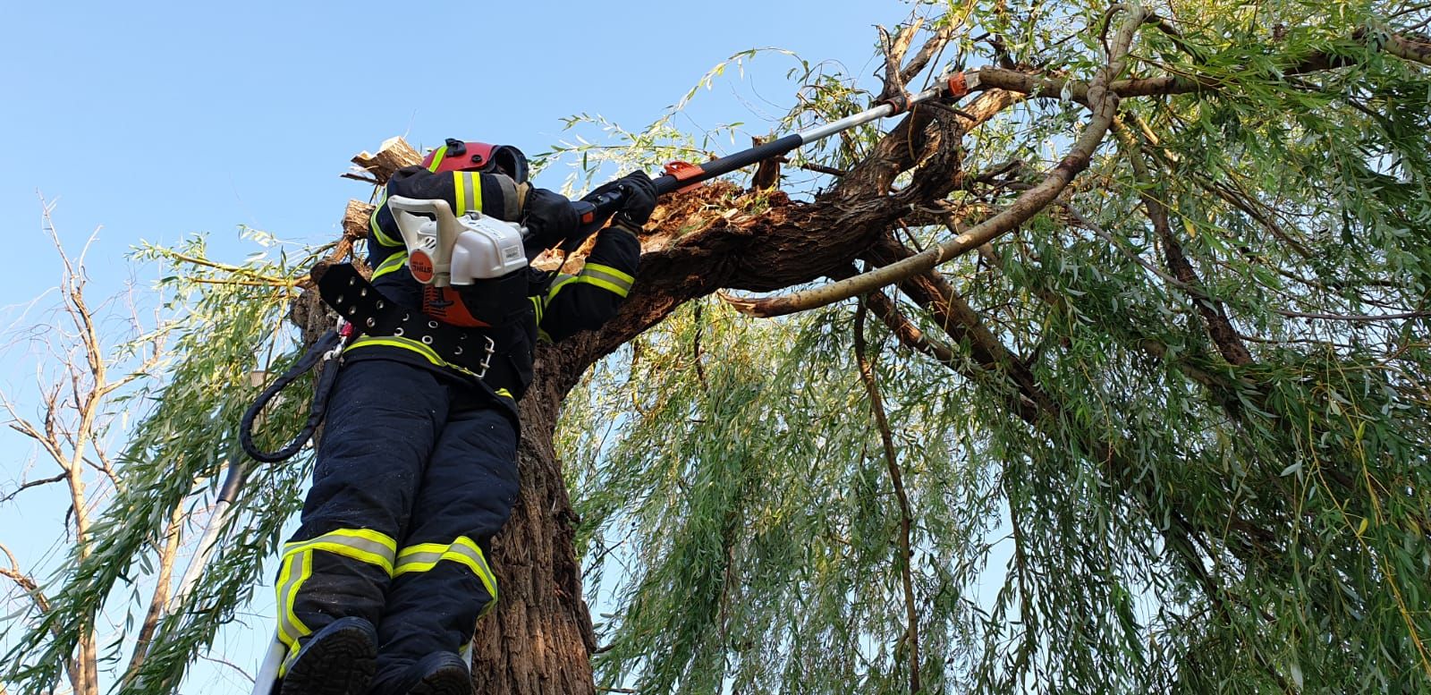 WhatsApp Image 2019-07-07 at 19.13.41