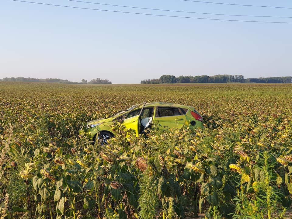 69693200_2943288295745095_7720952731086618624_n