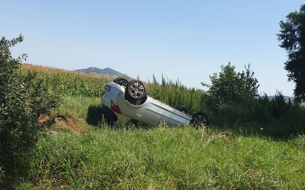 WhatsApp Image 2019-08-08 at 14.37.09