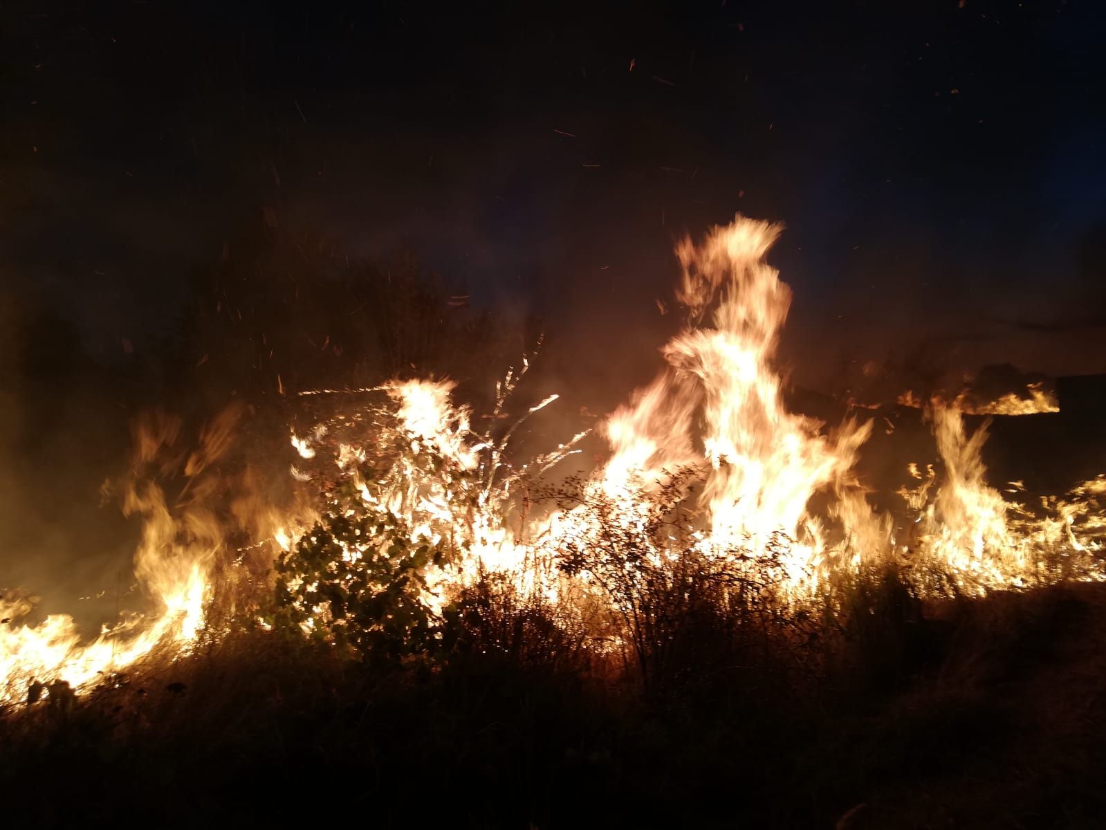 WhatsApp Image 2019-08-19 at 21.07.45