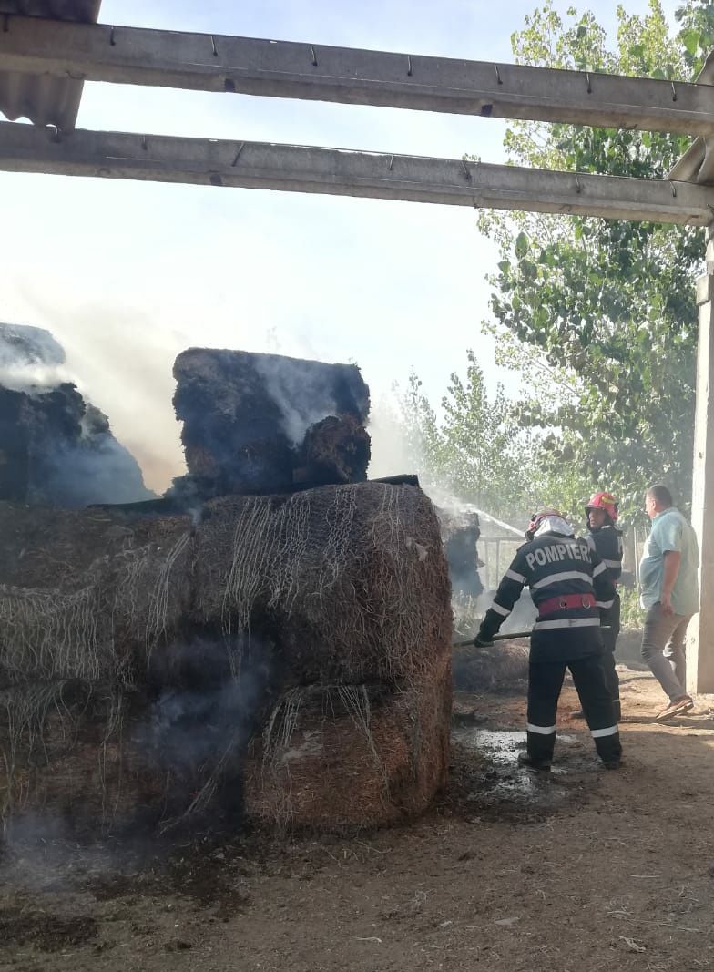 WhatsApp Image 2019-09-09 at 17.38.26