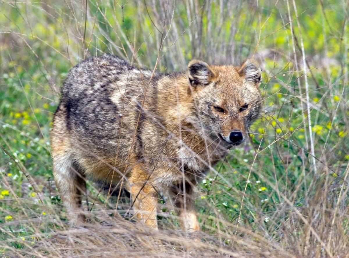 72486383_1779648008846425_7163808568427151360_o